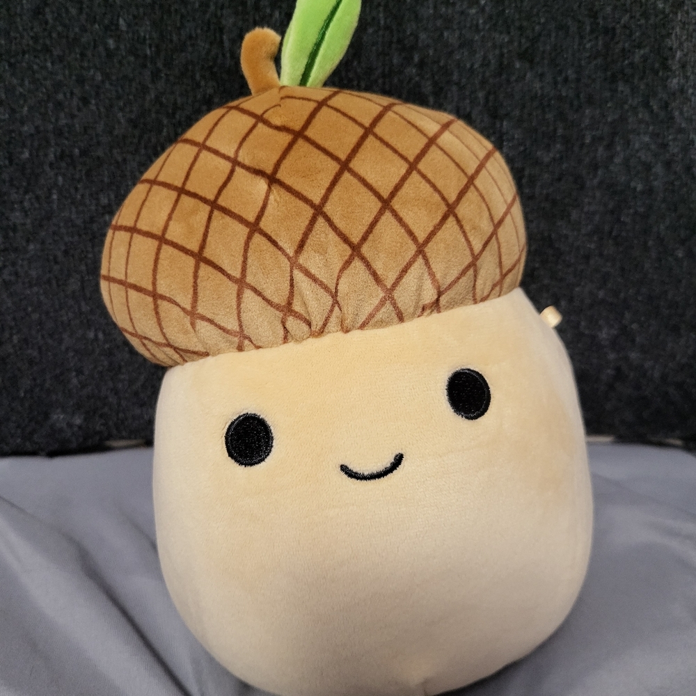 Mac Acorn Squishmallow tag removed